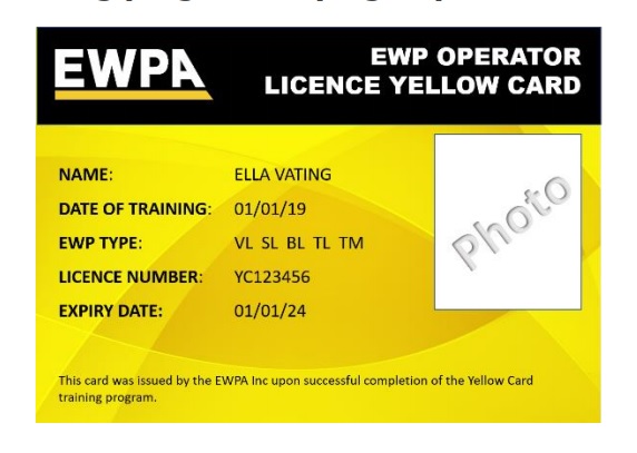 Yellow Card Licence Photo